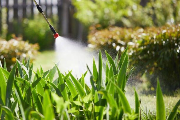 24/7 Emergency Mosquito Control experts in Stonewall, LA